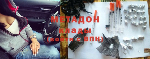 сатива Новодвинск