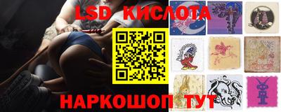 крисы Партизанск