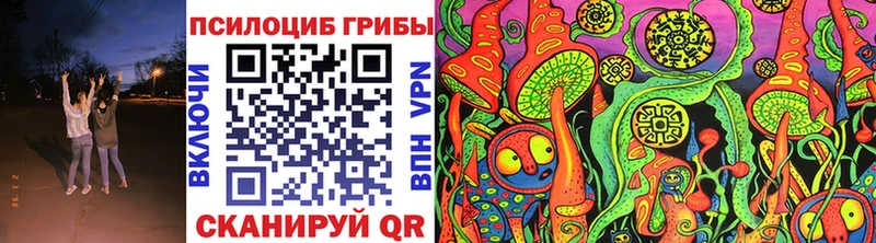 купить наркотики сайты  Удомля  Псилоцибиновые грибы Magic Shrooms 